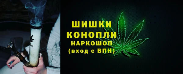 прущие грибы Семёнов