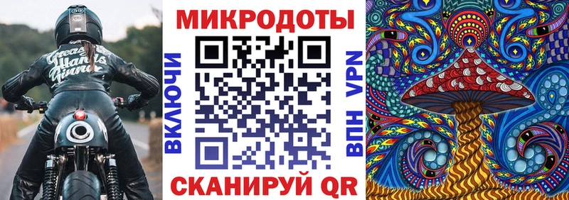 Галлюциногенные грибы Psilocybine cubensis как найти наркотики Беломорск