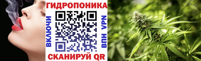 наркотики  Беломорск  Бошки Шишки OG Kush 